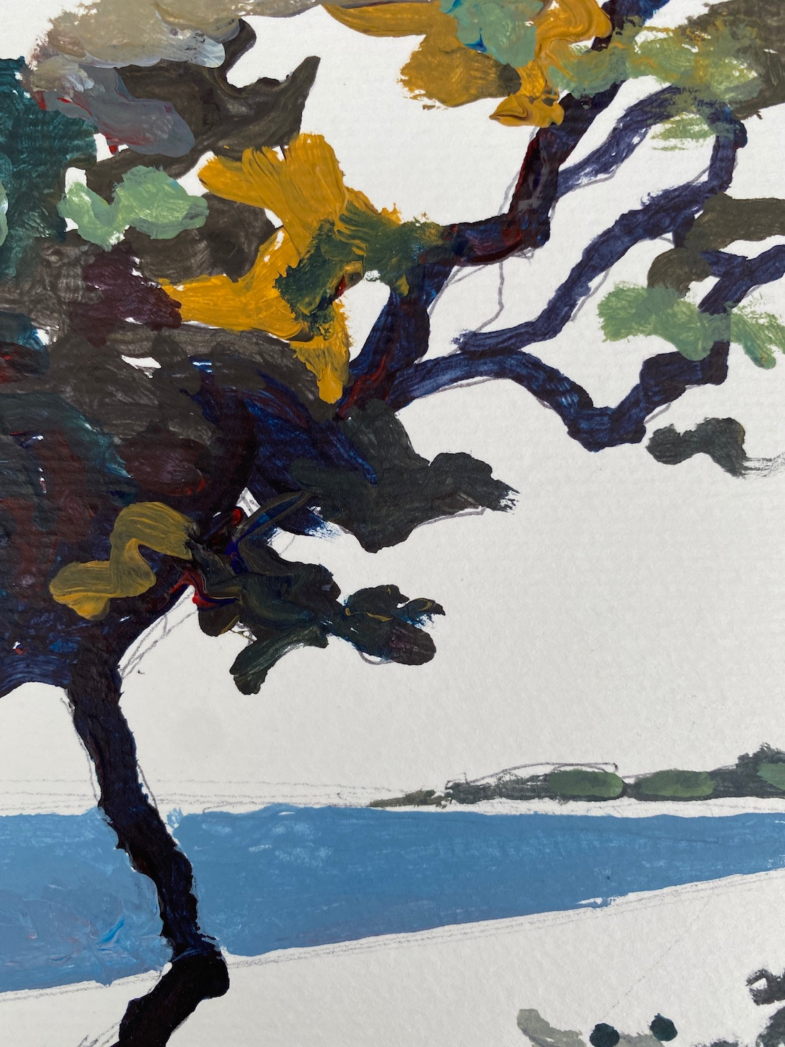 TREES BY THE SEA #8 - Plage des Sableaux