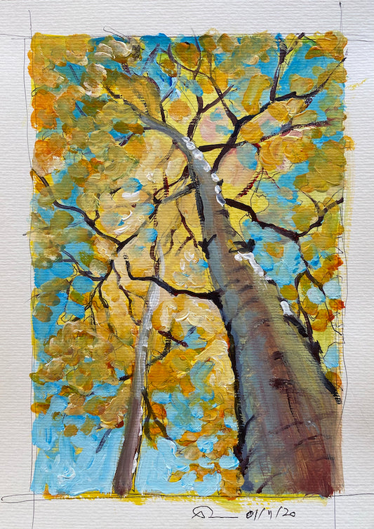 Tree study - 1