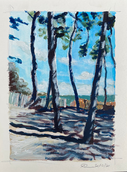 TREES BY THE SEA #1 - Pointe Saint Pierre